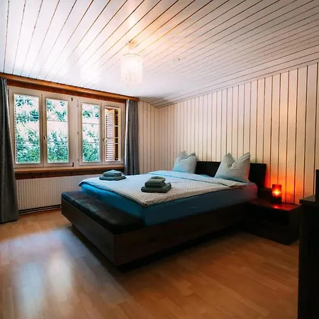 Spacious Near Interlaken & Grindelwald شقة